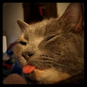 Meet your Posher, Daniele